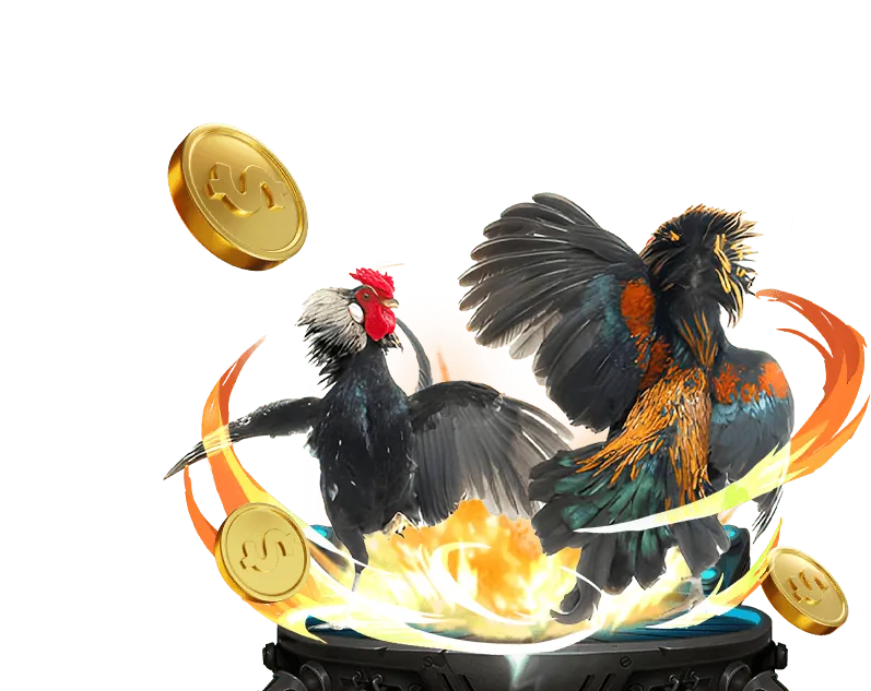 Hướng Dẫn Chơi Sòng Bạc Trực Tiếp