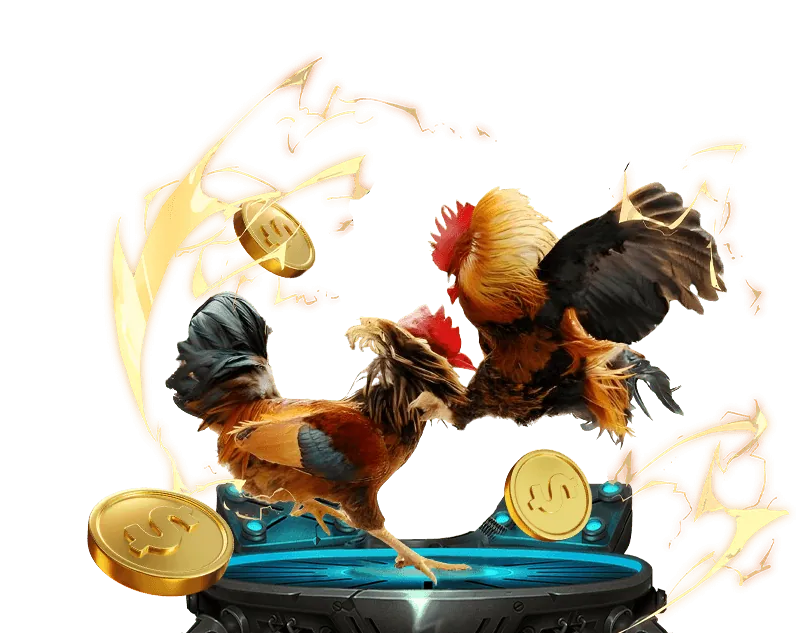 Các chính sách và điều khoản của Galaxy 6623